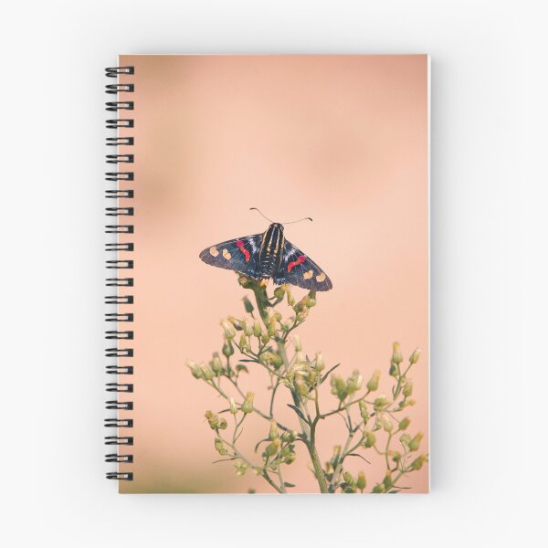 Item preview, Butterfly Mimoniades Versicolor designed and sold by anafrancisconi.