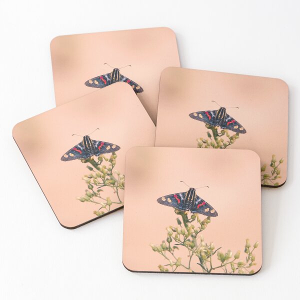 Item preview, Butterfly Mimoniades Versicolor designed and sold by anafrancisconi.