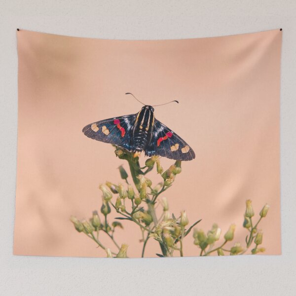 Item preview, Butterfly Mimoniades Versicolor designed and sold by anafrancisconi.