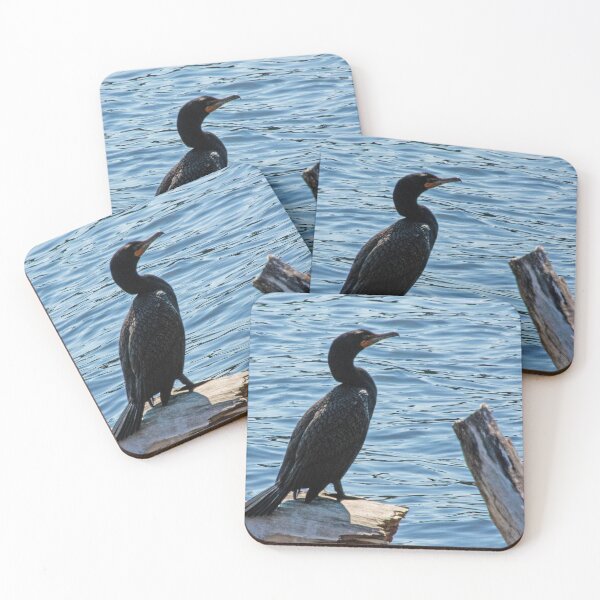 Item preview, Comorant Bird Posing on Driftwood designed and sold by Ruth Curtis.