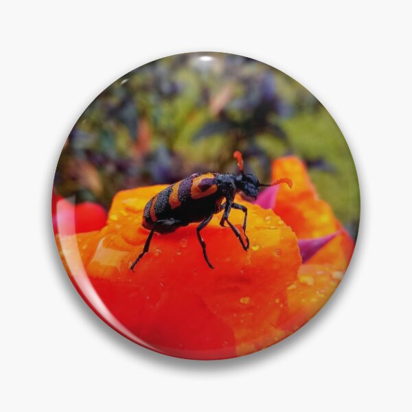 Item preview, Vibrant bettle on Autumn leaf designed and sold by Bernard03.