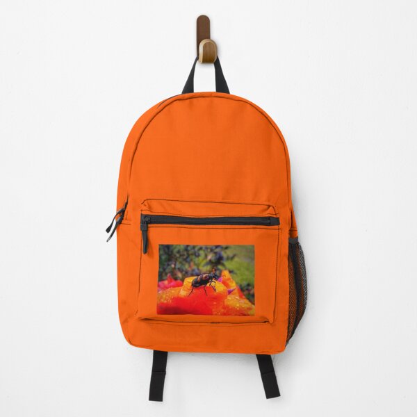Item preview, Vibrant bettle on Autumn leaf designed and sold by Bernard03.