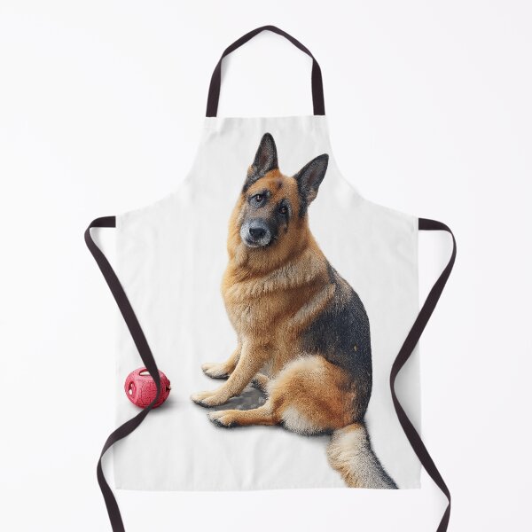 Item preview, I want to play. designed and sold by R3g3nerator.