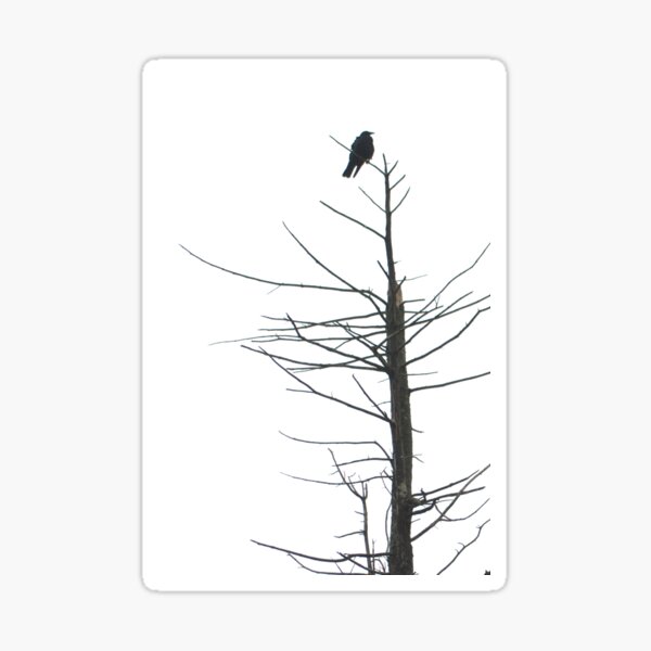 Item preview, On Top designed and sold by murrstevens.