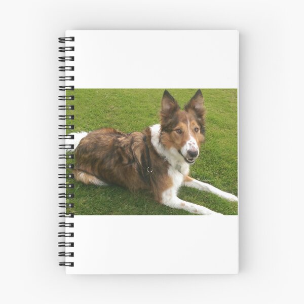 Item preview, I'm Adopted! Happy Sable Collie. designed and sold by AbriiD.