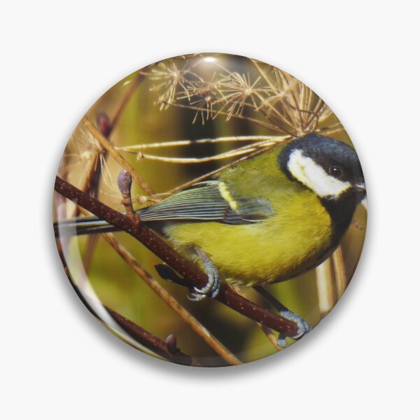 Item preview, Bird on the Branch designed and sold by FastRapidash.