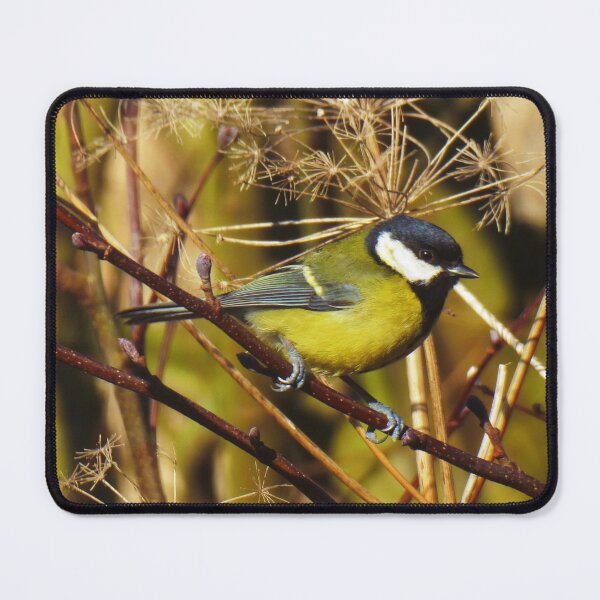 Item preview, Bird on the Branch designed and sold by FastRapidash.