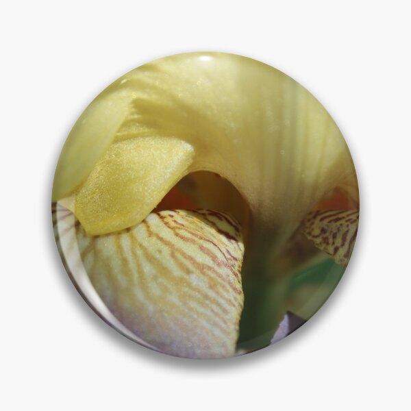 Item preview, (Close up) bearded Iris  designed and sold by McFleur's Lens.