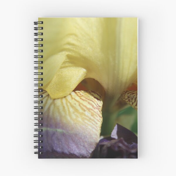 Item preview, (Close up) bearded Iris  designed and sold by McFleur's Lens.