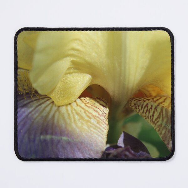 Item preview, (Close up) bearded Iris  designed and sold by McFleur's Lens.
