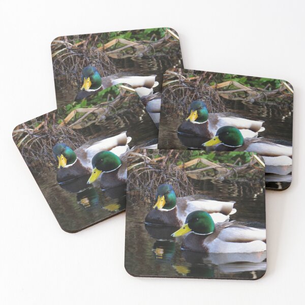 Item preview, Two Mallards designed and sold by FastRapidash.