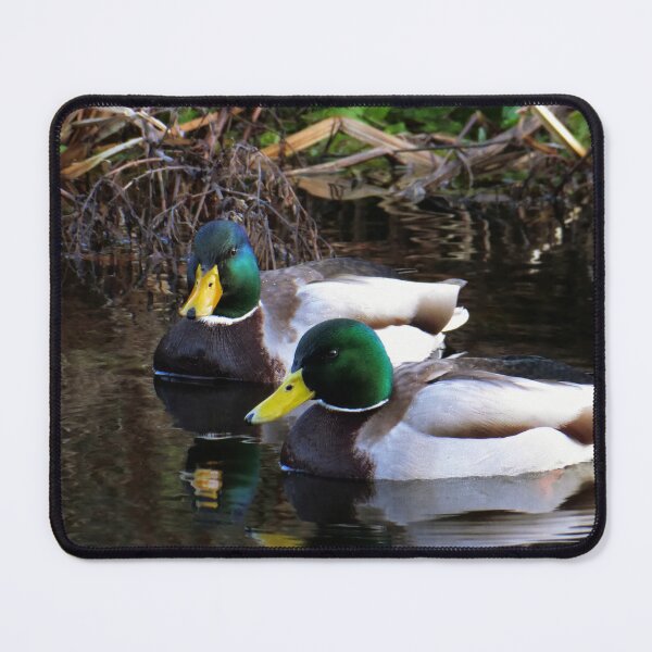 Item preview, Two Mallards designed and sold by FastRapidash.