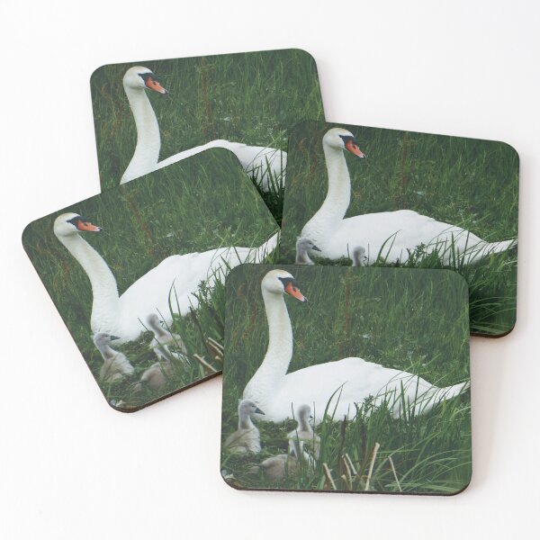 Item preview, Swan and Cygnets designed and sold by FastRapidash.