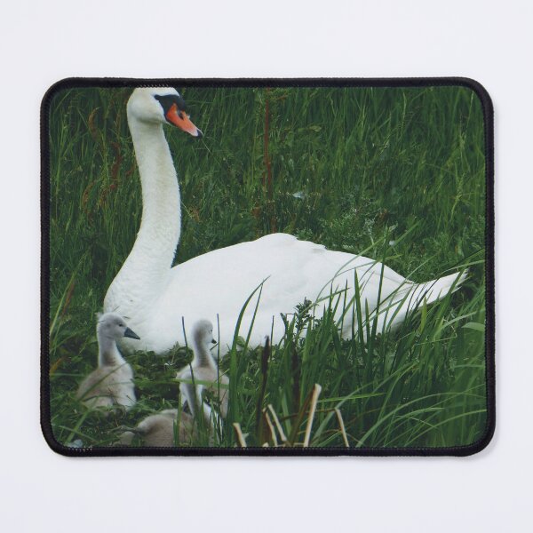 Item preview, Swan and Cygnets designed and sold by FastRapidash.