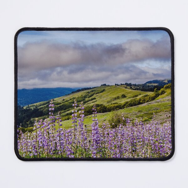 Item preview, Spring Lupine in Northern California designed and sold by jillianbutolphphoto.