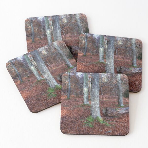 Item preview, Autumn Woodland designed and sold by Tom McPherson Photography.