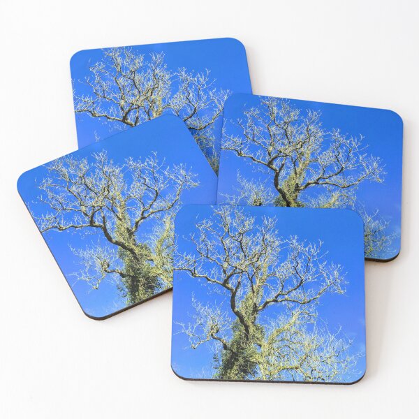 Item preview, Mossy Branches  designed and sold by FastRapidash.