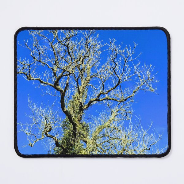 Item preview, Mossy Branches  designed and sold by FastRapidash.