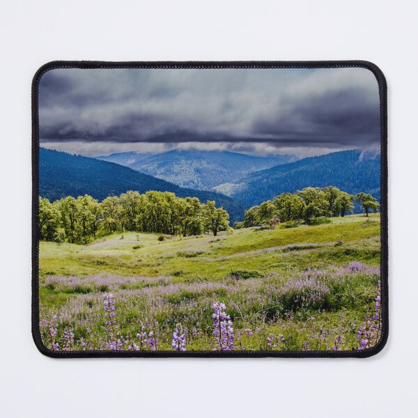 Item preview, Lupine Meadow Near Redwood National Park designed and sold by jillianbutolphphoto.
