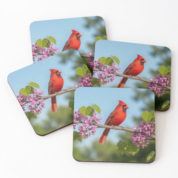 Item preview, Cardinal on a Redbud Branch designed and sold by Frankie Cat Photography.