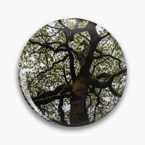 Item preview, Ancient Tree Canopy  designed and sold by FastRapidash.