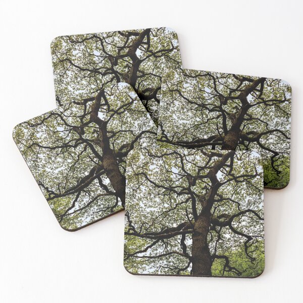Item preview, Ancient Tree Canopy  designed and sold by FastRapidash.