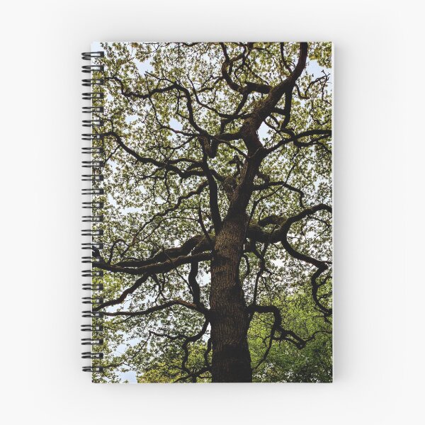 Item preview, Ancient Tree Canopy  designed and sold by FastRapidash.