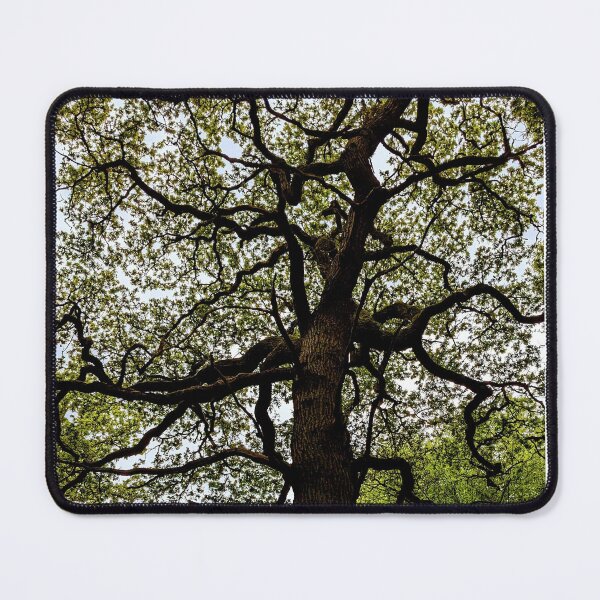 Item preview, Ancient Tree Canopy  designed and sold by FastRapidash.