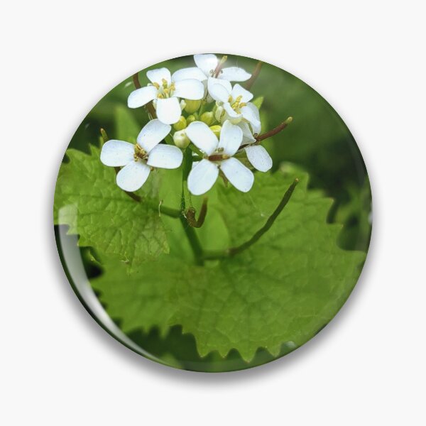 Item preview, The flower and the nettle  designed and sold by FastRapidash.