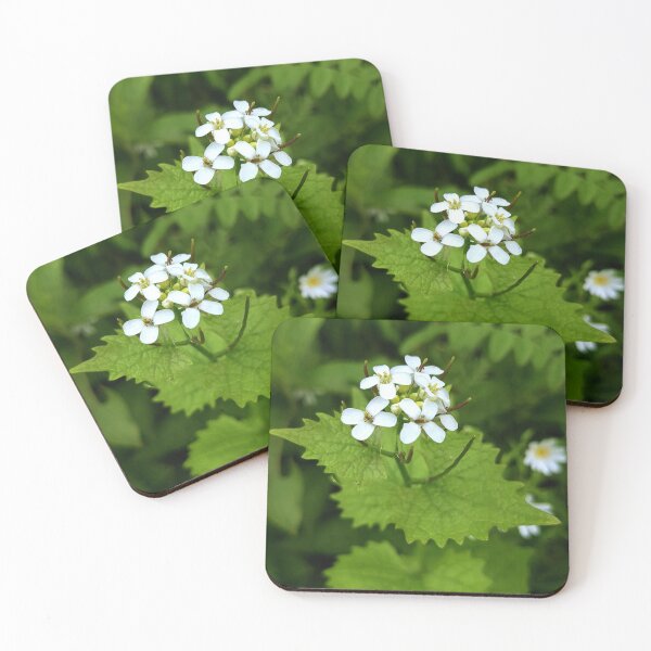 Item preview, The flower and the nettle  designed and sold by FastRapidash.