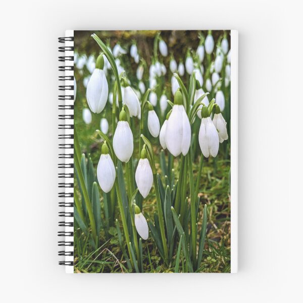 Item preview, Snowdrops designed and sold by FastRapidash.
