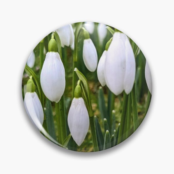 Item preview, Snowdrops designed and sold by FastRapidash.
