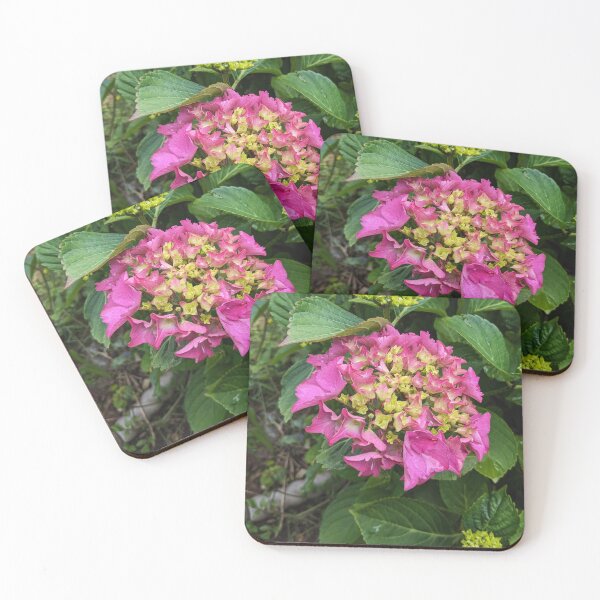 Item preview, Pink flower designed and sold by FastRapidash.