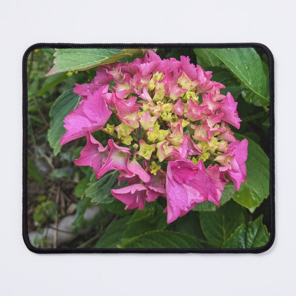 Item preview, Pink flower designed and sold by FastRapidash.