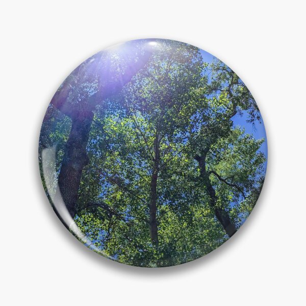 Item preview, Tall Trees in Summer designed and sold by FastRapidash.