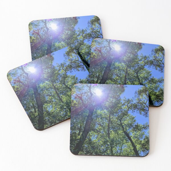 Item preview, Tall Trees in Summer designed and sold by FastRapidash.