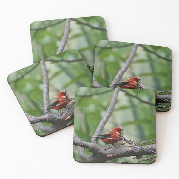 Item preview, Scarlet Tanager designed and sold by LIFEwithSANTO.