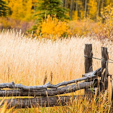 Artwork thumbnail, Fall Ranch View by alaina-ann