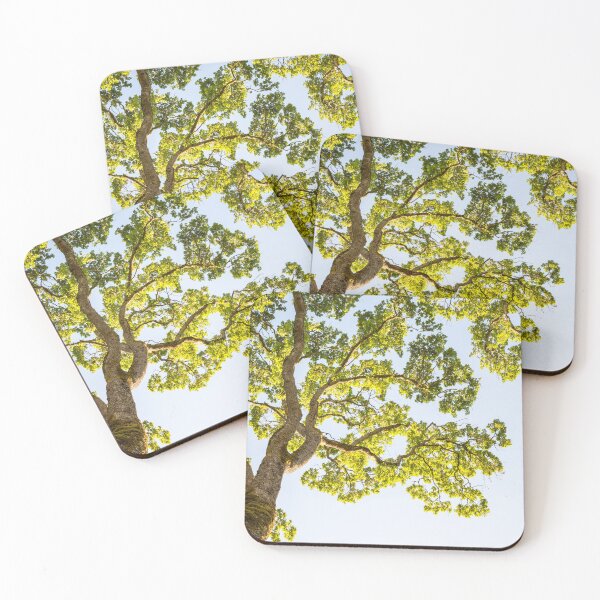 Item preview, Beneath a Sunlit Tree designed and sold by alaina-ann.