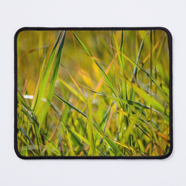 Item preview, Sunlit Fall Grass designed and sold by alaina-ann.