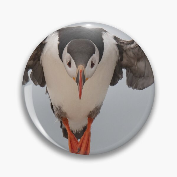 Item preview, Puffin Symmetry designed and sold by Judd-Nathan.