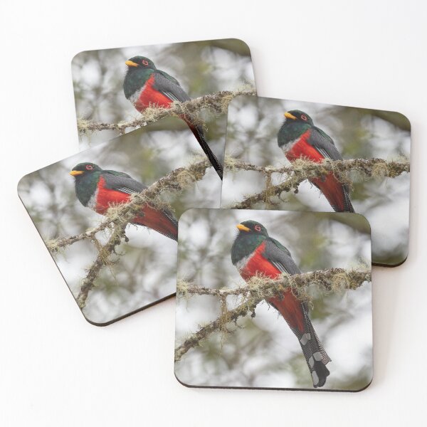Item preview, Masked Trogon designed and sold by Judd-Nathan.