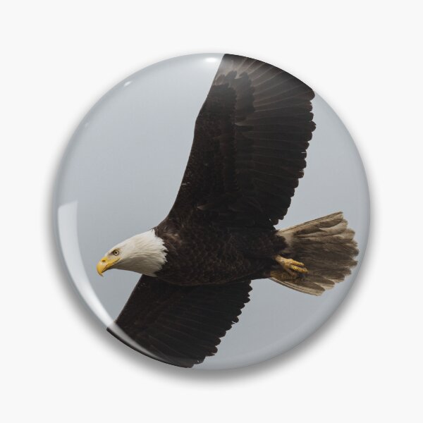 Item preview, Eagle in Flight designed and sold by Judd-Nathan.