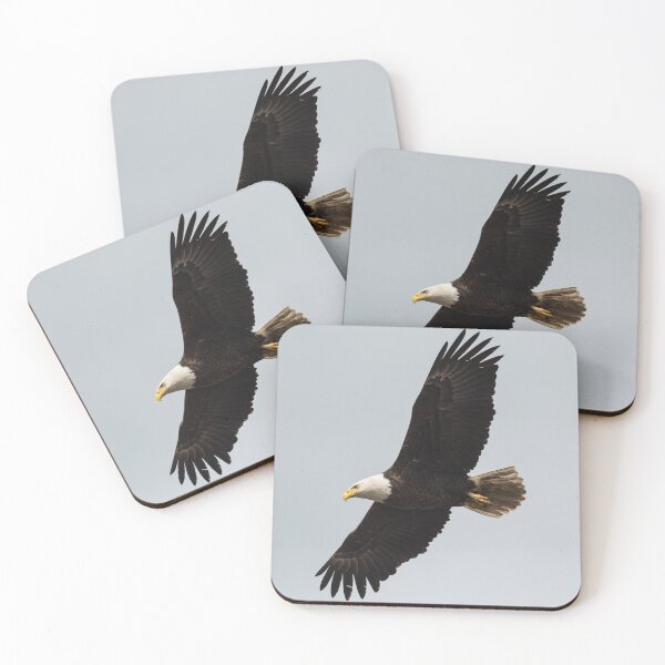 Item preview, Eagle in Flight designed and sold by Judd-Nathan.