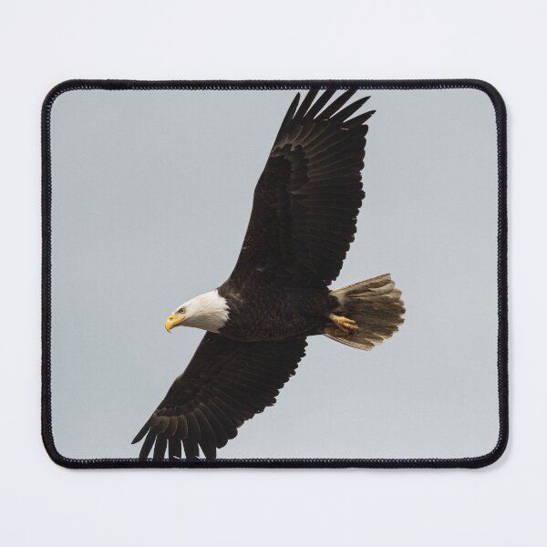 Item preview, Eagle in Flight designed and sold by Judd-Nathan.
