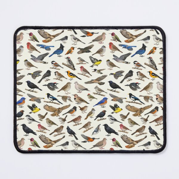 Item preview, Backyard Birds of California Ornithology Identification Chart designed and sold by kakarikihill.