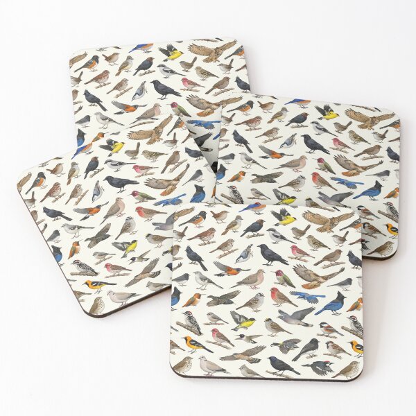 Item preview, Backyard Birds of California Ornithology Identification Chart designed and sold by kakarikihill.