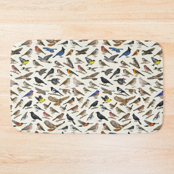 Item preview, Backyard Birds of California Ornithology Identification Chart designed and sold by kakarikihill.