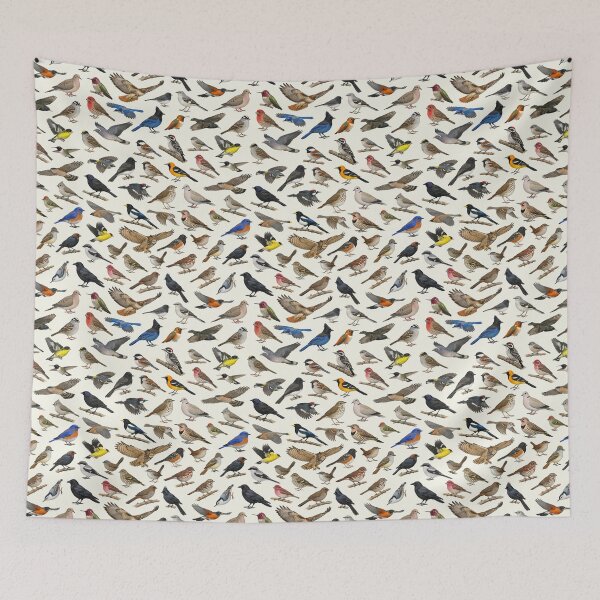 Item preview, Backyard Birds of California Ornithology Identification Chart designed and sold by kakarikihill.