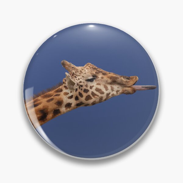 Item preview, Giraffe poking his tongue out in a circle designed and sold by Kathysg.